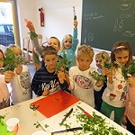 Kräuter konservieren – 1a