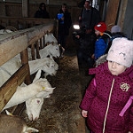 Weihnachten im Stall – 1b