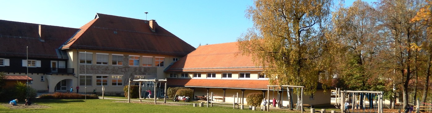 Elementary School