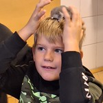 Welttierschutztag – 2b Welttierschutztag – 2b