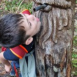 Wandertag Georgiberg / Izlet na goro Sv. Jurija – 3a Wandertag Georgiberg / Izlet na goro Sv. Jurija – 3a