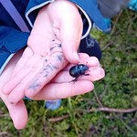 Waldspaziergang / Sprehod po gozdu – 3a Waldspaziergang / Sprehod po gozdu – 3a