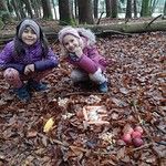 Tierweihnacht / Božič za živali – 1a, 1b